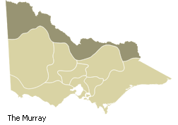 The Murray Region
