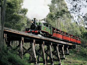 Puffing Billy Victoria