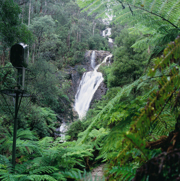 Steavenson Falls Marysville