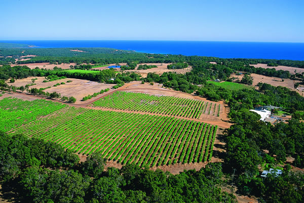Aerial view of Wise Vineyards, located in Meelup. Picture: Tourism Western Australia. 
