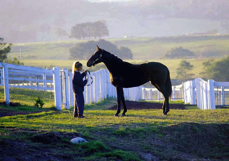 Melbourne to Daylesford and the Macedon Ranges