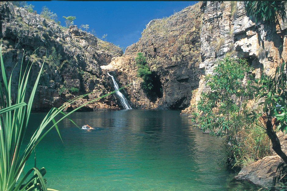 2495 Maguk Barramundi Gorge